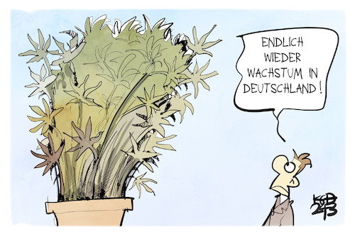 Cannabis-Gesetz Cannabis-Gesetz