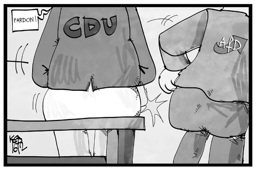 CDU und AfD CDU und AfD