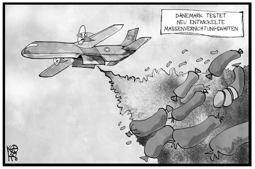 Dänische Wurst Dänische Wurst