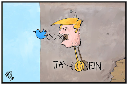 Das Trump sche Pendel Das Trump sche Pendel