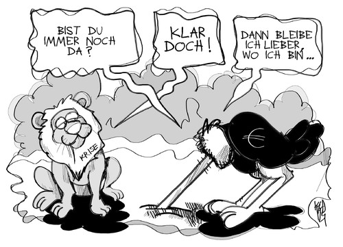 Der Euro und die Krise