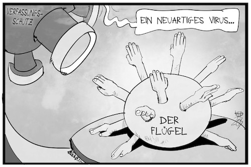 Der Flügel Der Flügel
