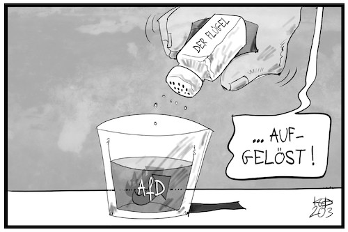 Der Flügel Der Flügel