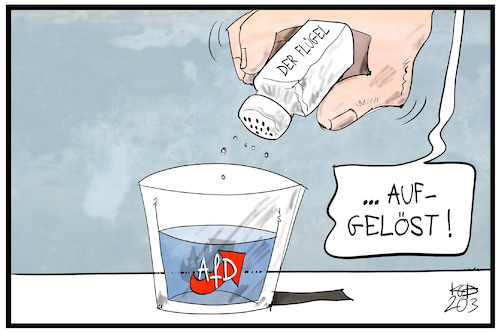Der Flügel Der Flügel