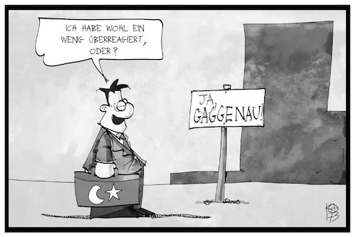 Cartoon: Deutschland-Türkei (medium) by Kostas Koufogiorgos tagged karikatur,koufogiorgos,illustration,cartoon,gaggenau,wahlkampf,tuerkei,akp,erdogan,minister,karikatur,koufogiorgos,illustration,cartoon,gaggenau,wahlkampf,tuerkei,akp,erdogan,minister