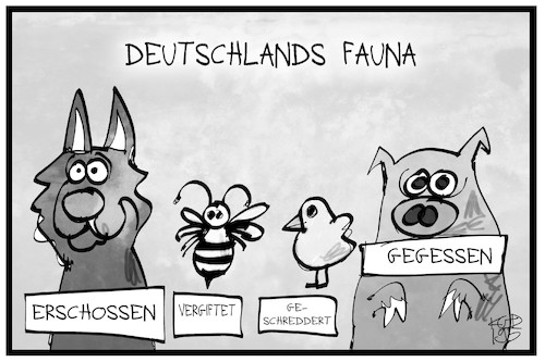 Cartoon: Deutschlands Fauna (medium) by Kostas Koufogiorgos tagged karikatur,koufogiorgos,illustration,cartoon,fauna,tier,wolf,biene,küken,huhn,schwein,tod,karikatur,koufogiorgos,illustration,cartoon,fauna,tier,wolf,biene,küken,huhn,schwein,tod