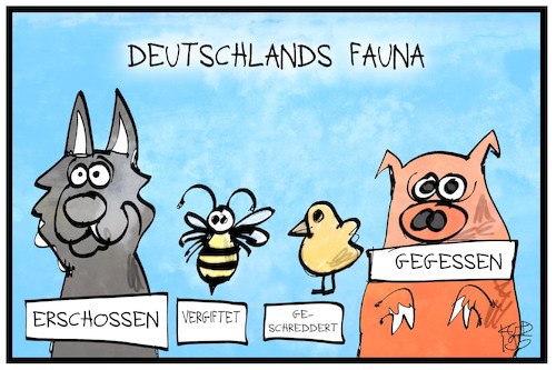 Cartoon: Deutschlands Fauna (medium) by Kostas Koufogiorgos tagged karikatur,koufogiorgos,illustration,cartoon,fauna,tier,wolf,biene,küken,huhn,schwein,tod,karikatur,koufogiorgos,illustration,cartoon,fauna,tier,wolf,biene,küken,huhn,schwein,tod