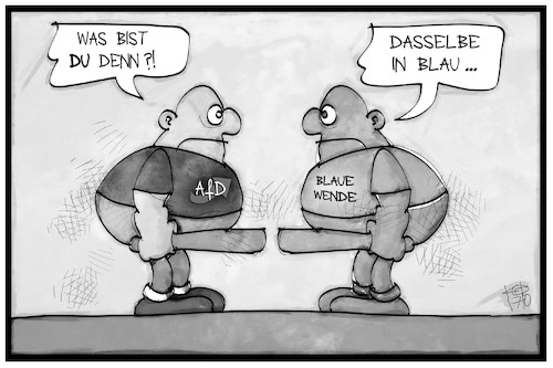 Cartoon: Die blaue Wende (medium) by Kostas Koufogiorgos tagged karikatur,koufogiorgos,illustration,cartoon,neonazi,extremismus,blau,partei,afd,karikatur,koufogiorgos,illustration,cartoon,neonazi,extremismus,blau,partei,afd