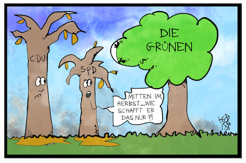 Die Immergrünen Die Immergrünen