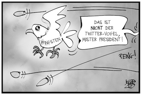 Die Pfingstaube in Gefahr Die Pfingstaube in Gefahr