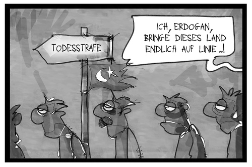 Die Türkei auf Linie Die Türkei auf Linie