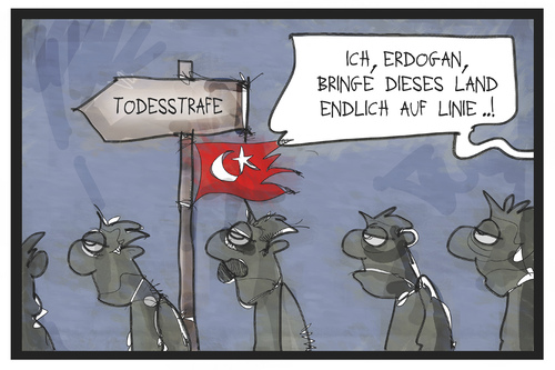 Die Türkei auf Linie Die Türkei auf Linie