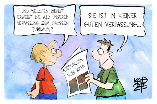 Die Verfassung der AfD Die Verfassung der AfD
