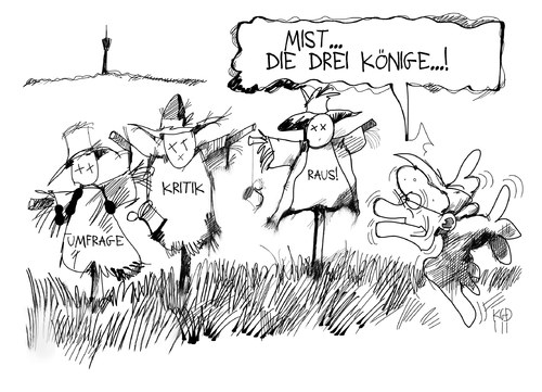 Dreikönigstreffen Dreikönigstreffen