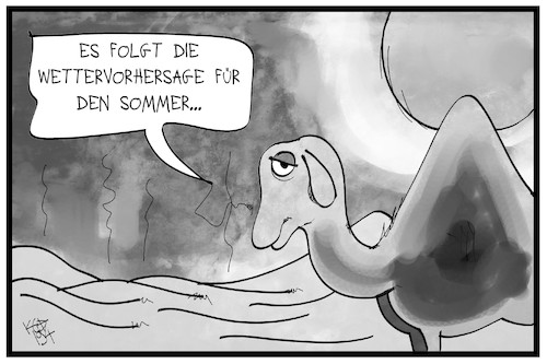 Dürre-Sommer Dürre-Sommer