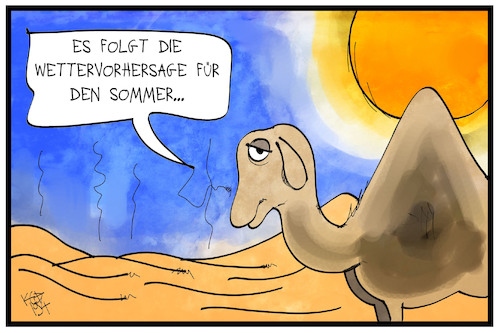 Dürre-Sommer Dürre-Sommer