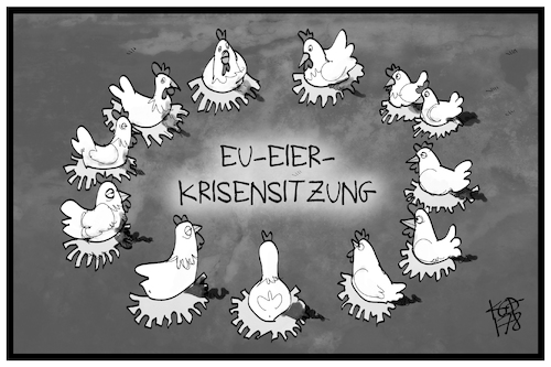 Eier-Krisensitzung Eier-Krisensitzung