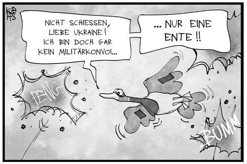 Ente im Ukraine-Konflikt