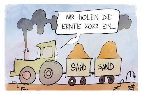 Ernte 2022 Ernte 2022