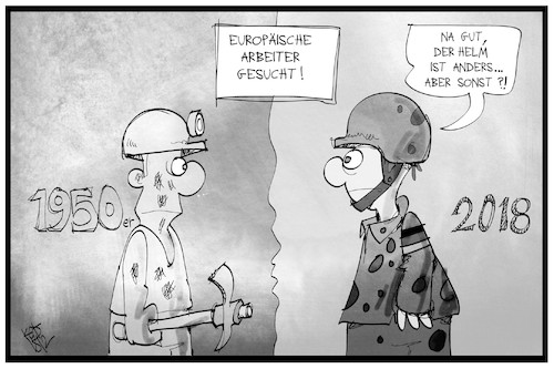 EU-Fachkräfte EU-Fachkräfte