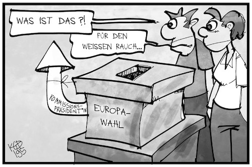 Cartoon: EU-Kommissionspräsident (medium) by Kostas Koufogiorgos tagged karikatur,koufogiorgos,illustration,cartoon,kommission,eu,europa,wahl,präsident,rauch,demokratie,karikatur,koufogiorgos,illustration,cartoon,kommission,eu,europa,wahl,präsident,rauch,demokratie