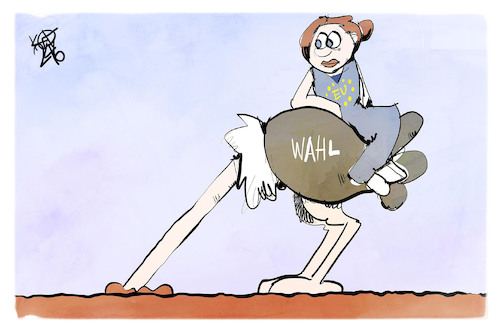 EU-Wahl EU-Wahl