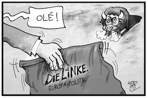 Europaparteitag Linke Europaparteitag Linke