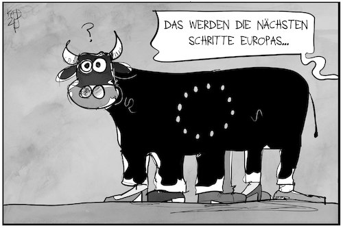 Europas nächste Schritte Europas nächste Schritte