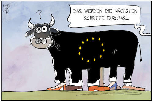Europas nächste Schritte Europas nächste Schritte