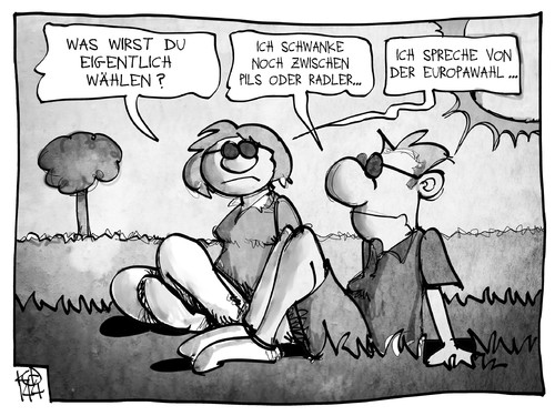 Europawahl Europawahl