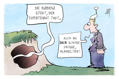 Expertenrat Expertenrat