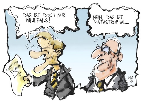 FDP-Umfrage FDP-Umfrage