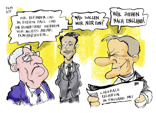 FDP in der Krise