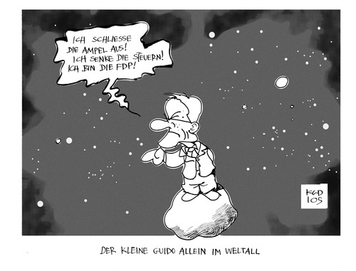 FDP in der Krise FDP in der Krise