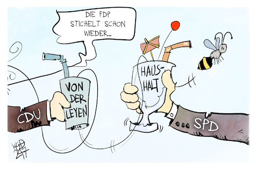 FDP und CDU FDP und CDU