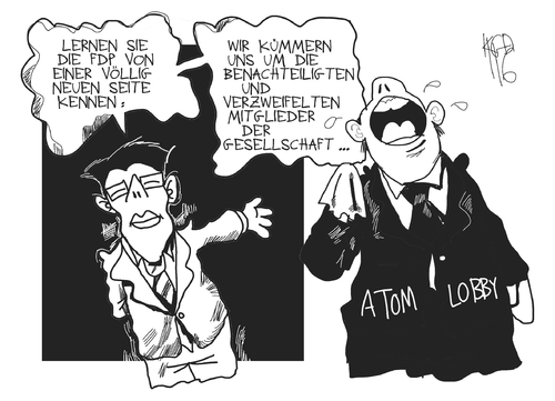 FDP und die Energiewende FDP und die Energiewende