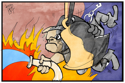 Der Feuerwehrmann von Notre Dame Der Feuerwehrmann von Notre Dame