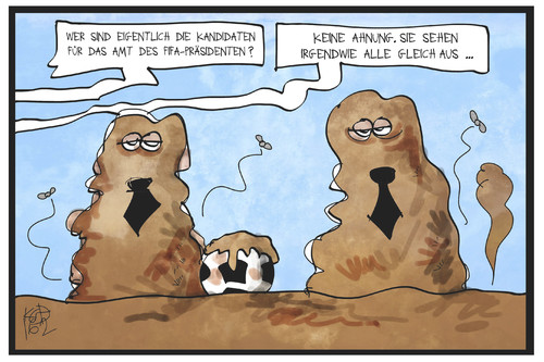 FIFA-Wahl FIFA-Wahl