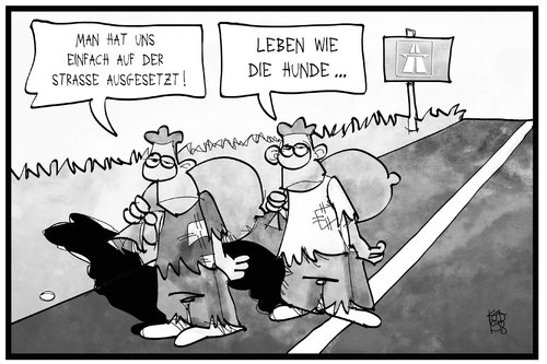 Flüchtlinge Flüchtlinge