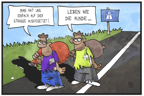 Flüchtlinge Flüchtlinge