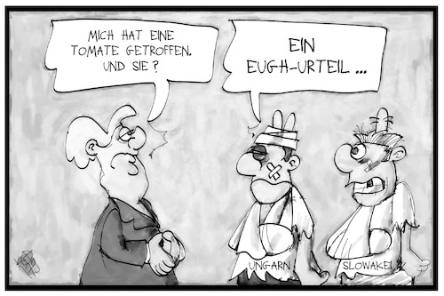 Flüchtlingsquote Flüchtlingsquote
