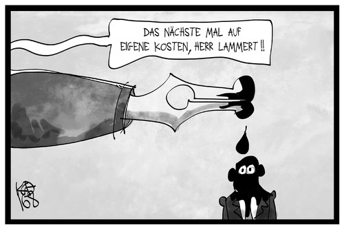 Füller-Affäre Füller-Affäre