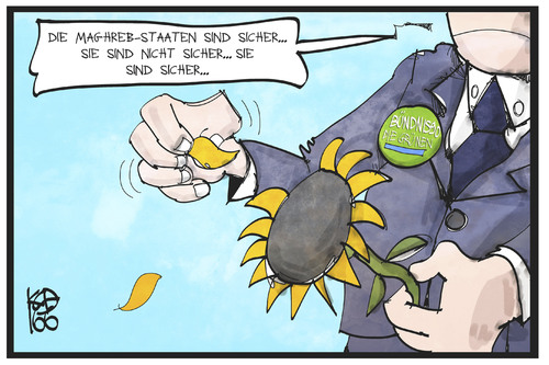 Grüne Entscheidung Grüne Entscheidung