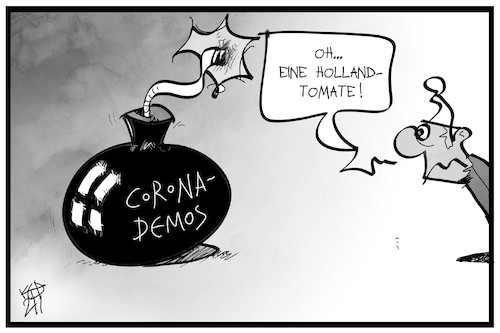 Holland-Tomaten Holland-Tomaten