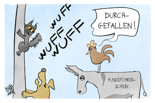 Hundeführerschein Hundeführerschein