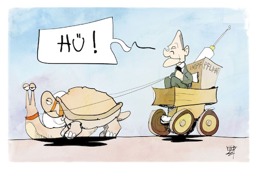 Impflicht Impflicht