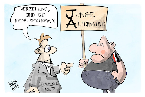 Junge Alternative Junge Alternative