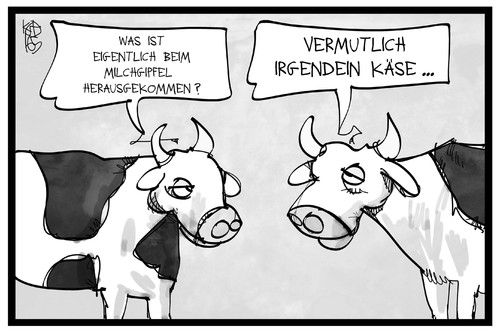 Käse beim Milchgipfel Käse beim Milchgipfel