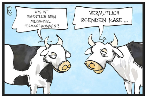 Käse beim Milchgipfel Käse beim Milchgipfel