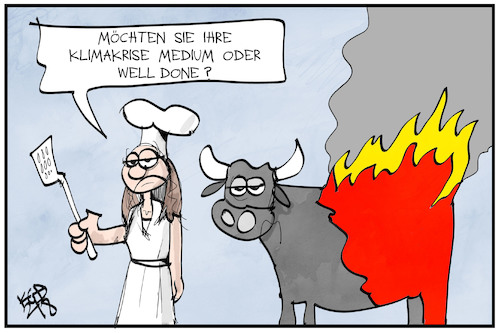 Klimakrise Klimakrise